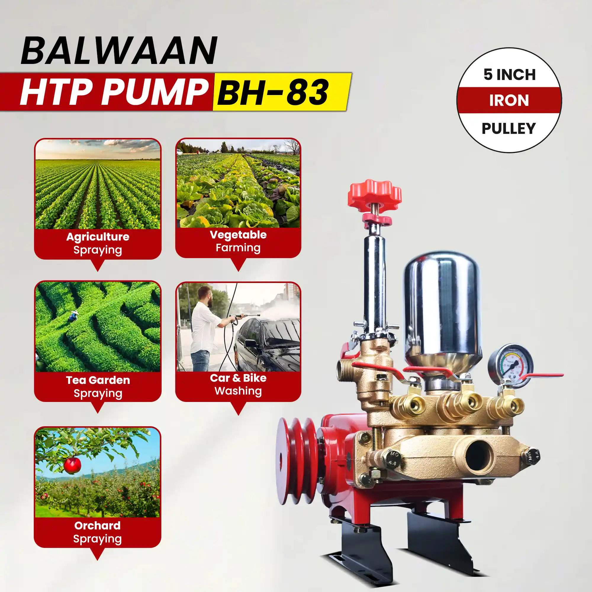 41.webp